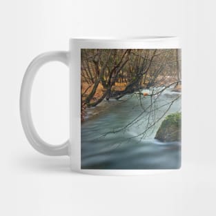 Vouraikos river - Achaia Mug